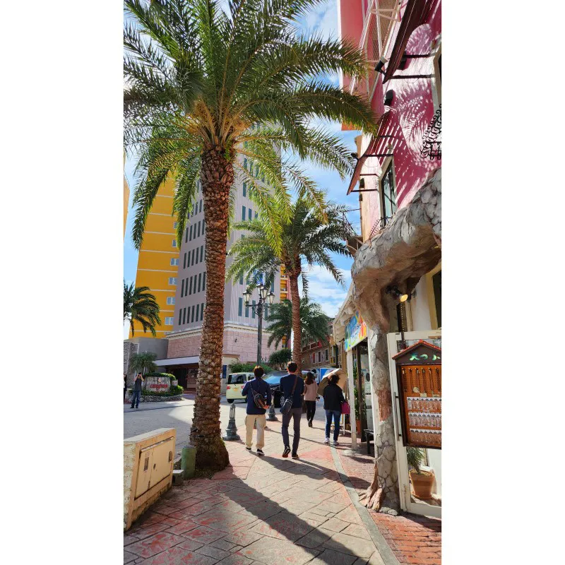 Calle bordeada de palmeras con edificios coloridos en American Village en Chatan, Okinawa