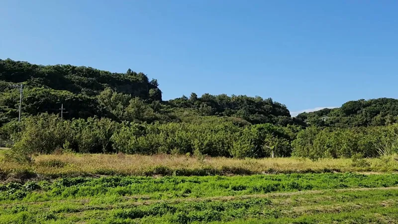 Pradera y colinas cubiertas de bosque en la isla de Hamahigajima