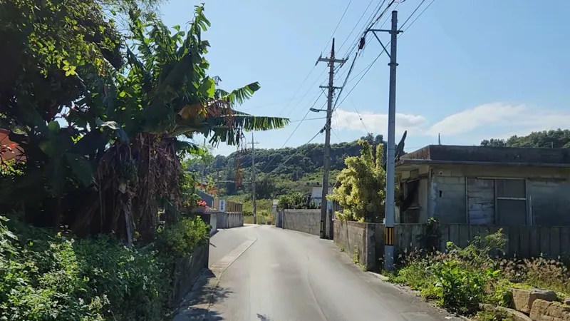 Pequeña carretera rural con plataneros y casas locales en Hamahigajima
