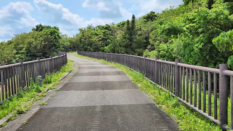 Sendero peatonal bordeado de vegetación en el Parque Deportivo de Kitanakagusuku Okinawa