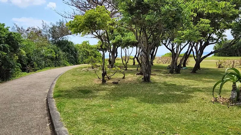 Sendero peatonal a través de un bosquecillo en el Parque Deportivo de Kitanakagusuku Okinawa