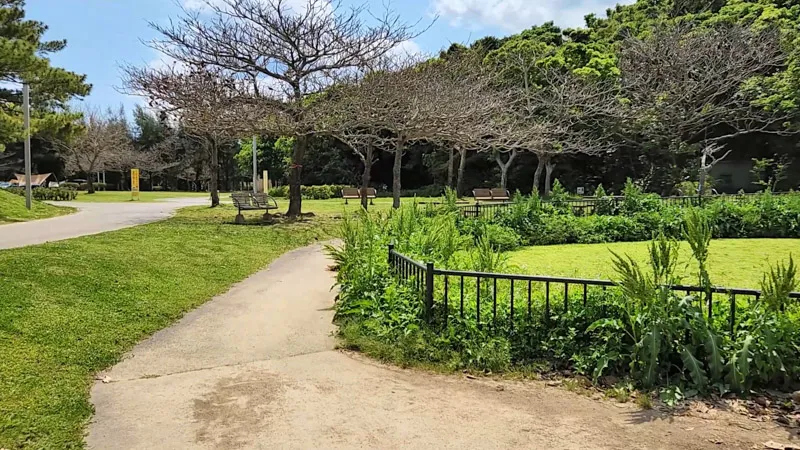 Bancos bajo los árboles a lo largo de un sendero en el Parque Deportivo de Kitanakagusuku Okinawa