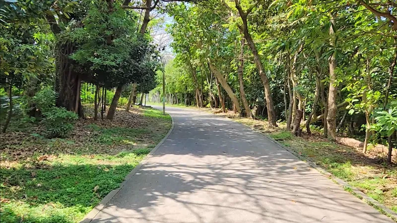 Paseo sombreado bordeado de árboles en el Parque Deportivo de Kitanakagusuku Okinawa