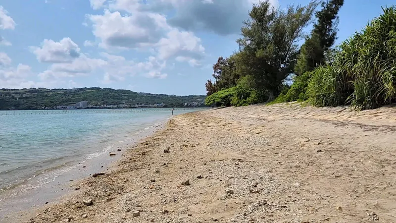 Playa bordeada de vegetación tropical en Kitanakagusuku Okinawa