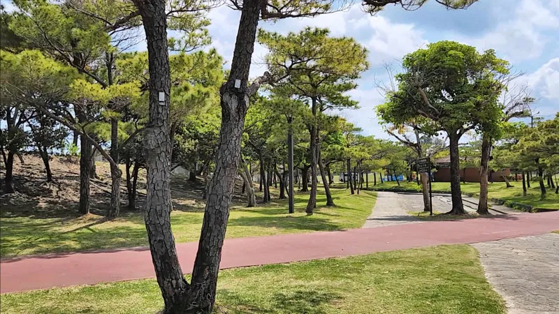 Pista de paseo roja bordeada de pinos en el Parque Deportivo de Kitanakagusuku Okinawa